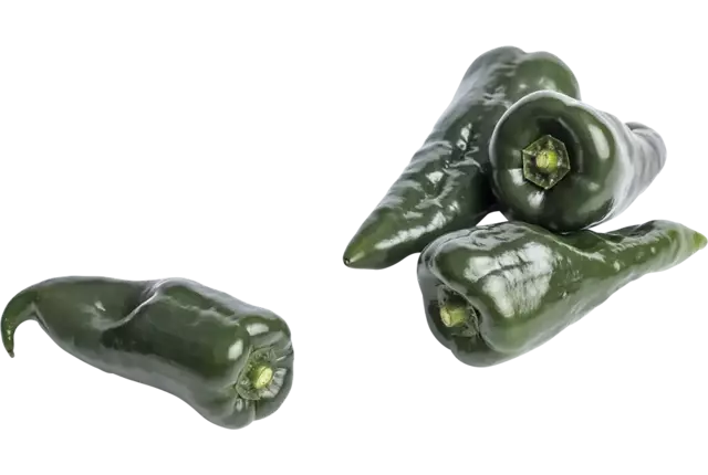 Poblano Peper